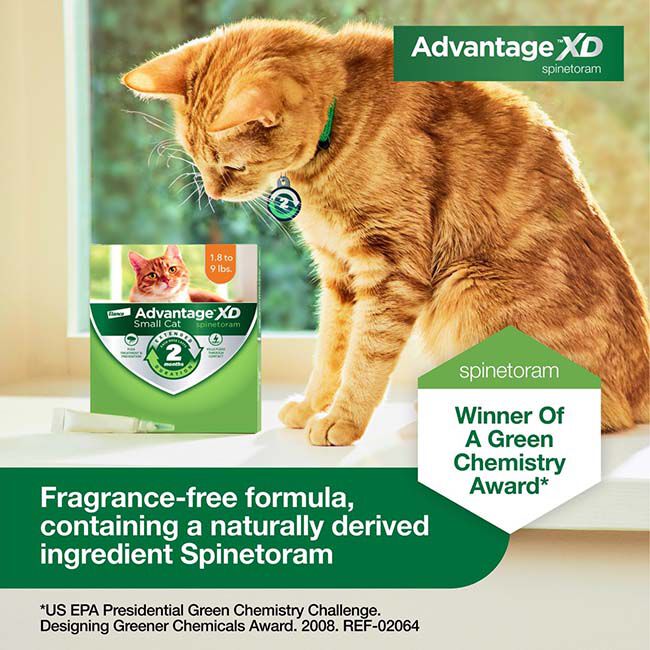 Elanco Advantage XD for Cats image number null