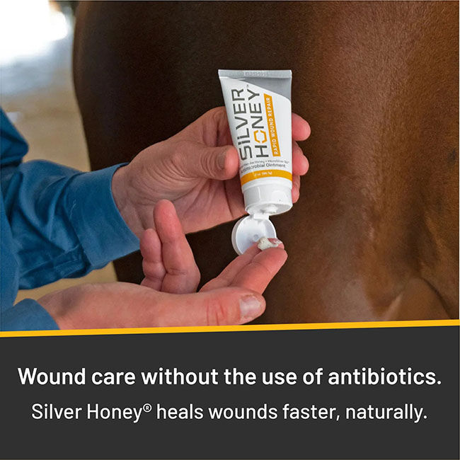 Absorbine Silver Honey Rapid Wound Repair Ointment - 2 oz image number null