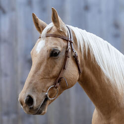 Shires Velociti Western Browband Headstall with Rawhide Knotting - Light Oil