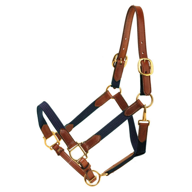 Tory Leather Web Halter image number null
