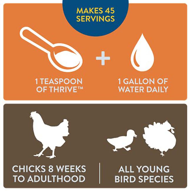 FlockLeader Thrive, Prebiotic Probiotic Daily Supplement for Chicken Flock, Flock Age 8+ Weeks, 8 OZ image number null