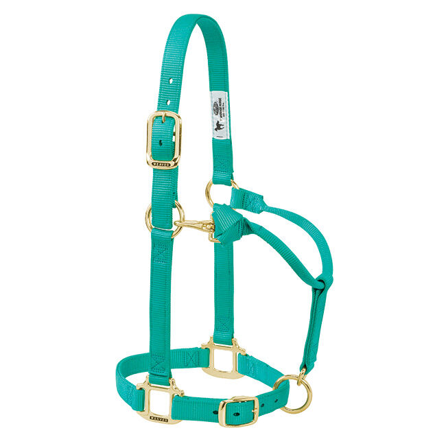 Weaver Adjustable Nylon Halter - Emerald Green image number null
