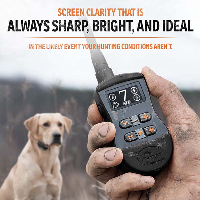 SportDOG SportTrainer 875 - Black image number null