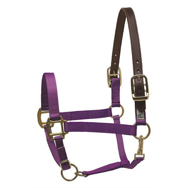 Perri's Leather Nylon Safety Halter image number null