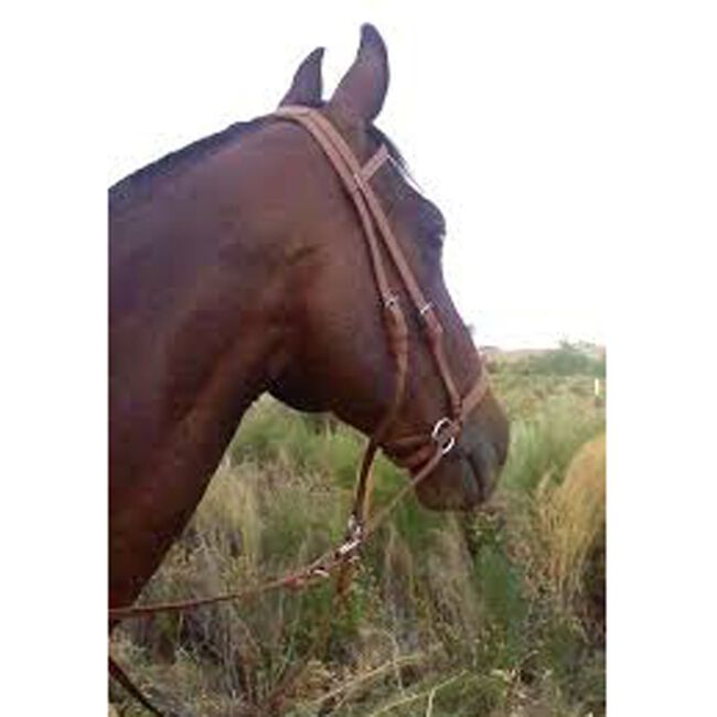 Bitless Beta Headstall Brown image number null