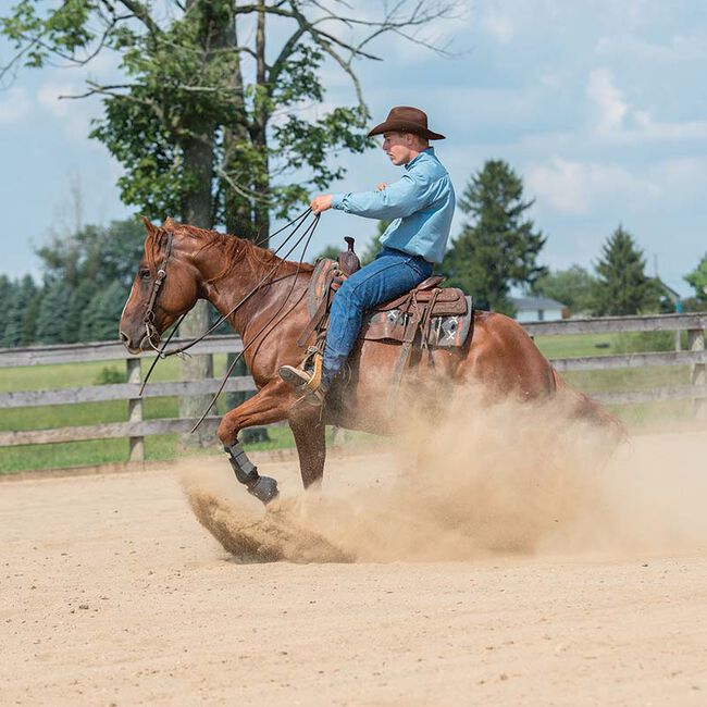 Weaver Equine Austin Flat Sliding Ear Headstall image number null