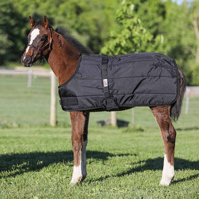Schneiders Dura-Nylon Expandable Foal Stable Blanket image number null
