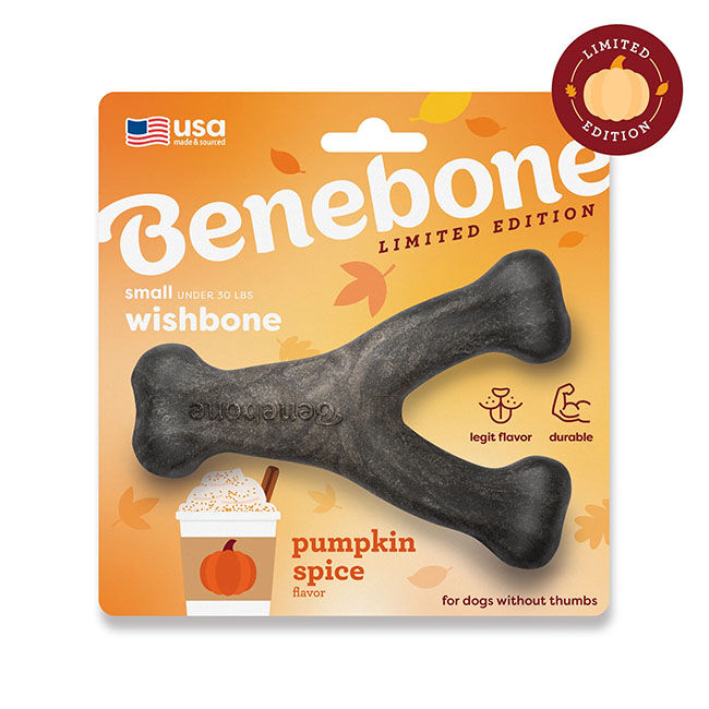 Benebone Wishbone Dog Chew - Pumpkin Spice Flavor | The Cheshire Horse