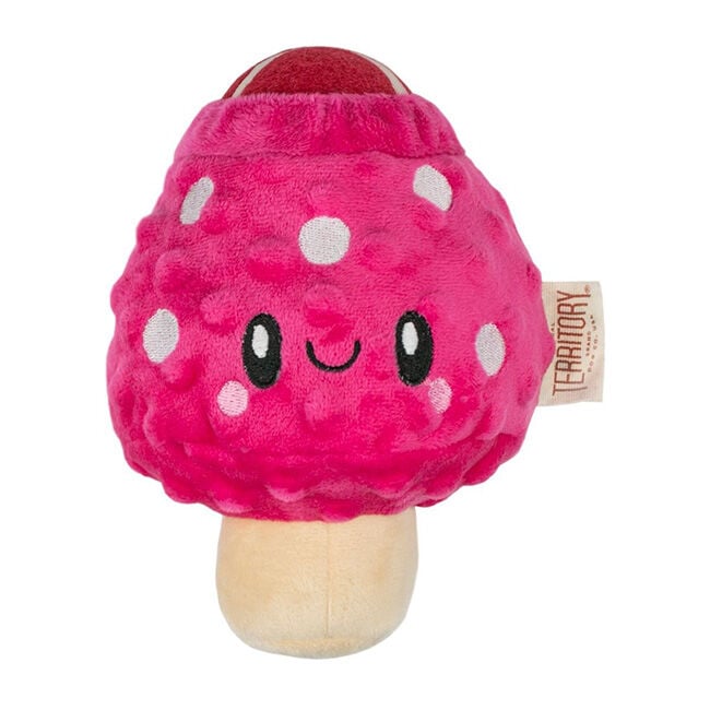 Territory 2-in-1 Dog Toy - Mushroom image number null