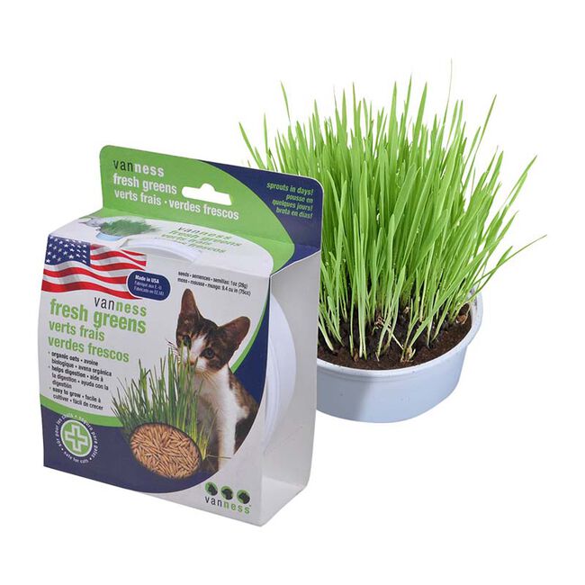 Van Ness Oat Garden Kit image number null