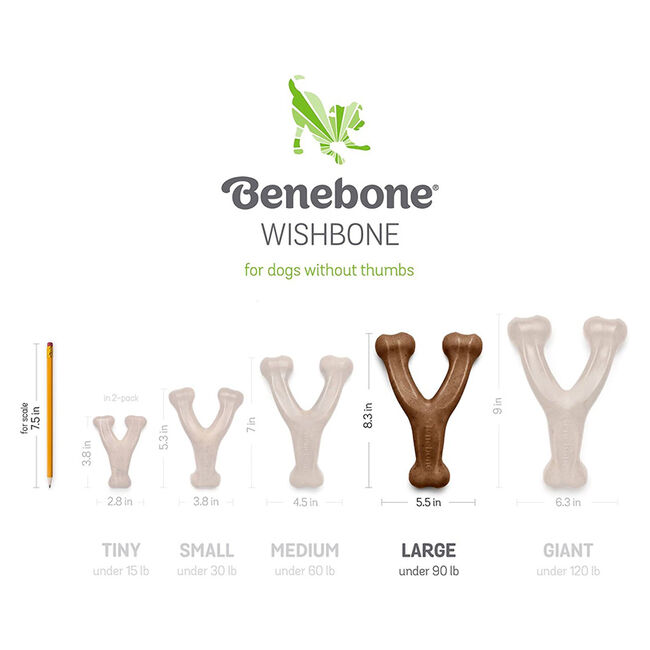 Benebone Wishbone Dog Chew - Bacon Flavor image number null