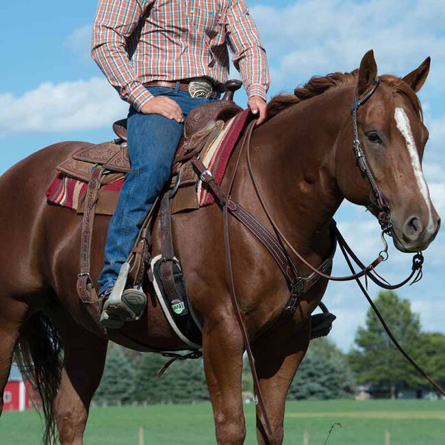 Weaver Equine Austin Flat Sliding Ear Headstall image number null