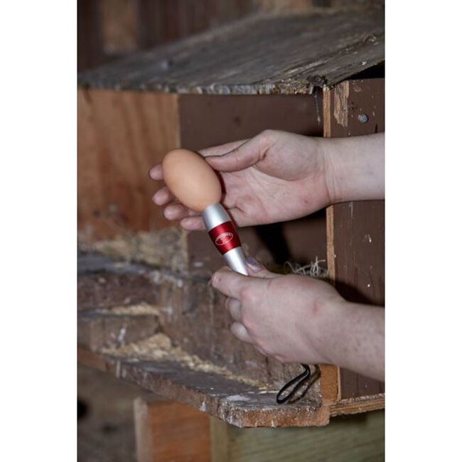 Miller Egg Candler image number null