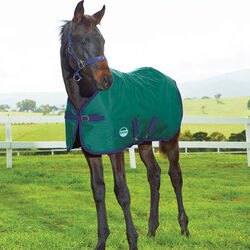 WeatherBeeta 1200D Foal Turnout Medium Standard Neck II - Hunter/Navy