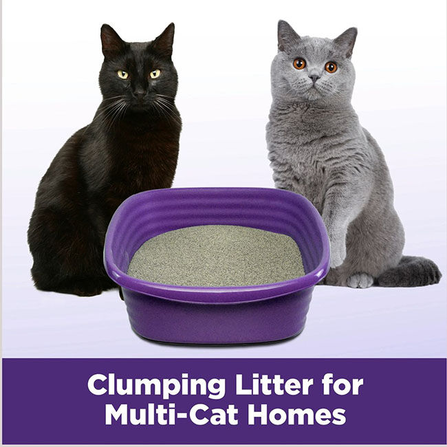 Arm & Hammer SLIDE Multi-Cat Scented Easy Clean-Up Clumping Litter image number null