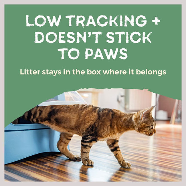 Naturally Fresh Quick-Clumping Walnut Shell Cat Litter image number null