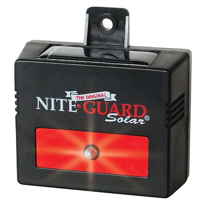 Nite Guard Solar image number null