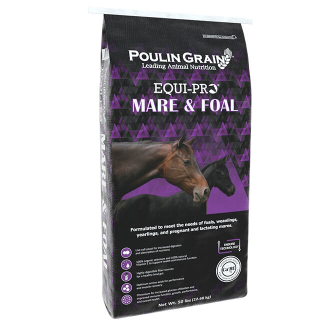 Poulin Grain EQUI-PRO Mare & Foal - Textured - 50 lb image number null