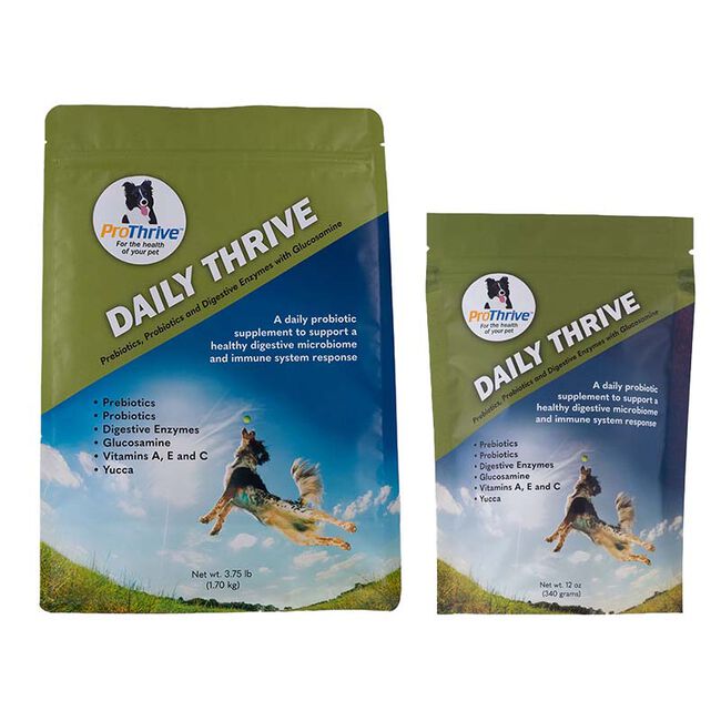 Animal Health Solutions ProThrive Daily Digestive Aid image number null
