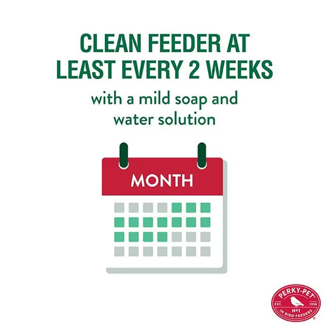 Perky-Pet Mason Jar Seed Bird Feeder image number null