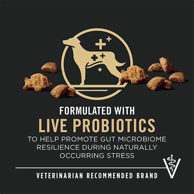 Purina Pro Plan Complete Essentials Dog Food - Shredded Blend - Beef & Rice with Probiotics image number null