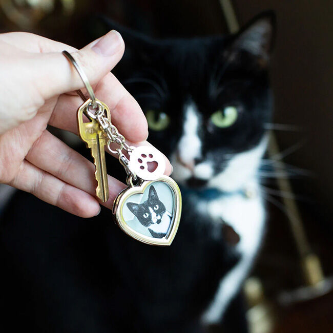 Pearhead Heart Keychain with Paw Charm image number null