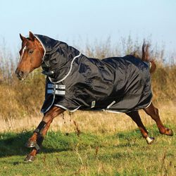 Horseware Amigo Stock Horse Lite Turnout Sheet