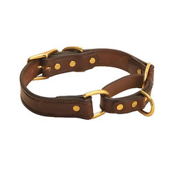 Tory Leather Martingale Dog Collar - Havana