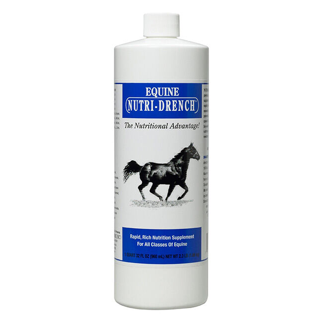 Bovidr Laboratories Nutri-Drench Equine Horse Supplement - 32 oz image number null