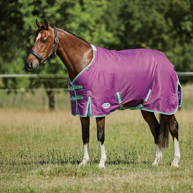 WeatherBeeta Pony ComFiTec Premier Freedom Standard Neck Lite - Purple/Navy/Mint image number null