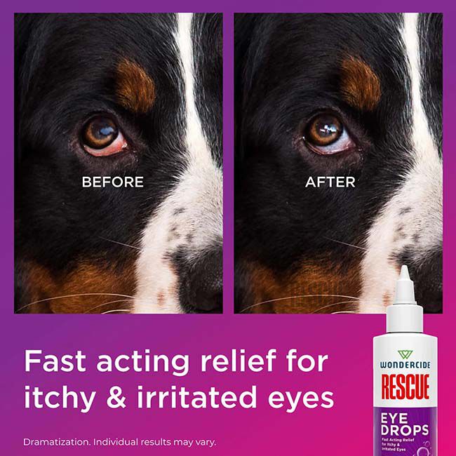 Wondercide RESCUE Eye Drops for Dogs & Cats - 4 oz image number null