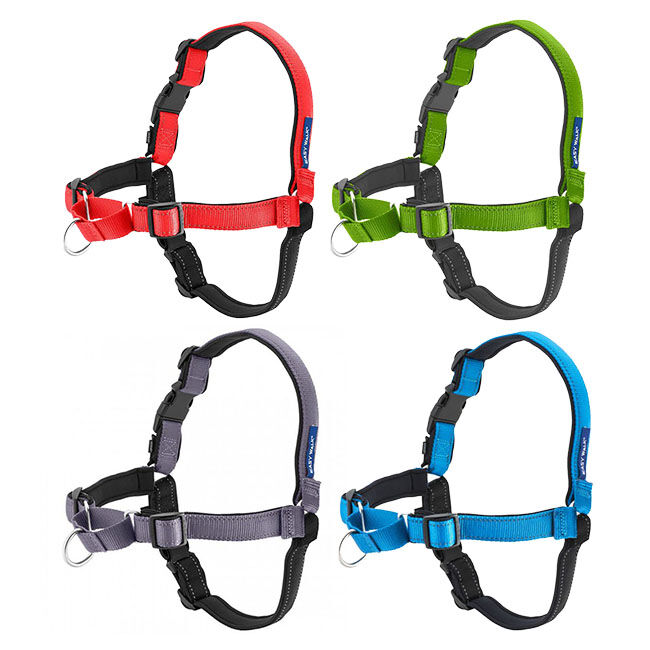 PetSafe Easy Walk Deluxe Dog Harness image number null