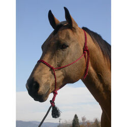 Double Diamond 1/4" (#225 Series) Braided Poly Halter - Miniature