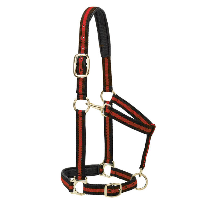 Weaver Equine Striped Padded Adjustable Chin & Throat Snap Halter image number null