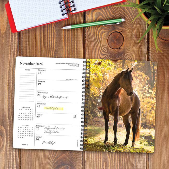 Willow Creek Press 2024 Engagement Calendar - What Horses Teach Us image number null
