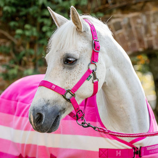 Horseware Newmarket Fleece Cooler - Witney Pink image number null