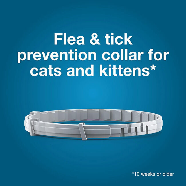 Seresto Flea & Tick Collar for Cats image number null