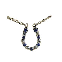 Finishing Touch of Kentucky Necklace - Rhinestone Horseshoe - Sapphire & Crystal