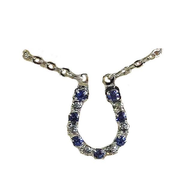 Finishing Touch of Kentucky Crystal Sapphire Rhinestone Horseshoe Necklace image number null