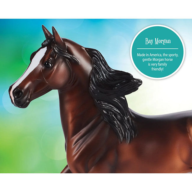 Breyer Bay Morgan image number null