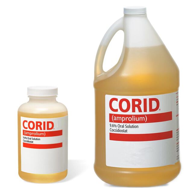Merial Corid Solution - Treats Coccidiosis in Calves 16 oz image number null