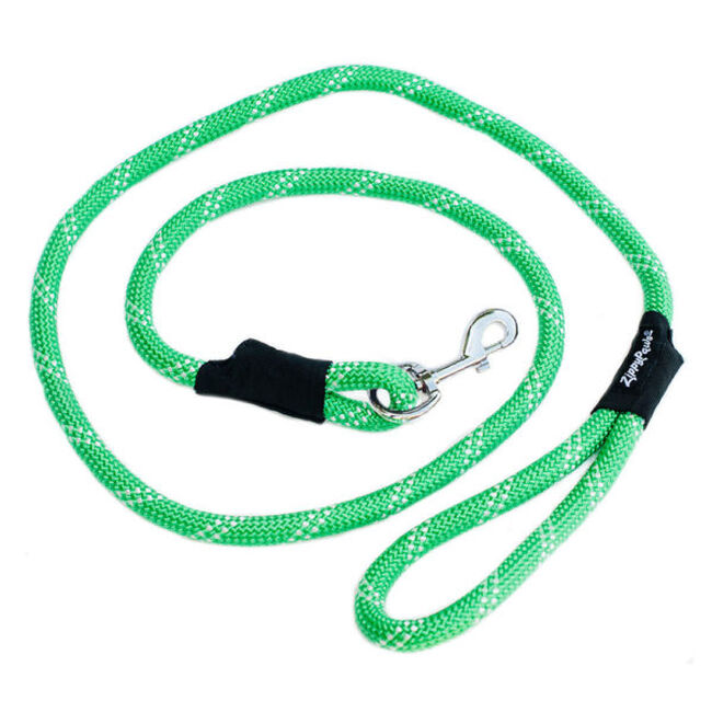 ZippyPaws Climbers Dog Leash - 6 Feet image number null