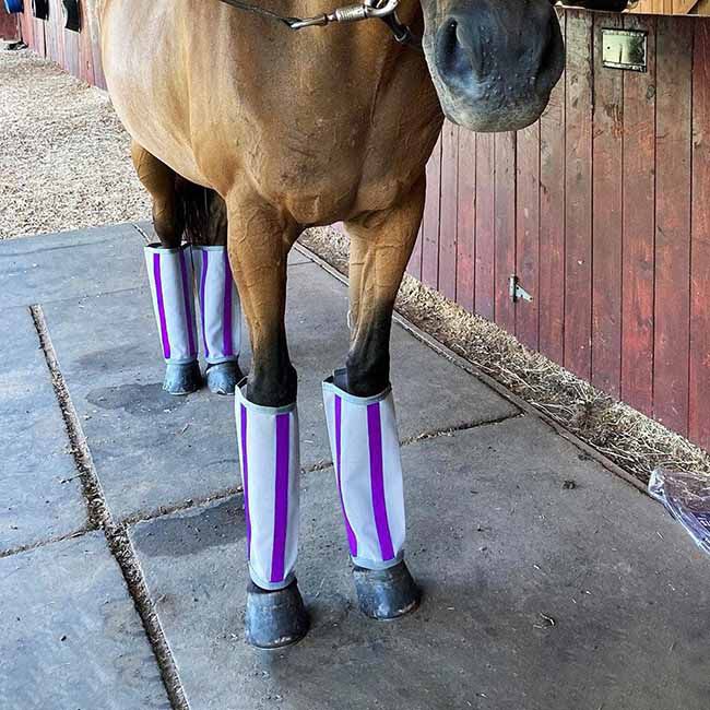 Majyk Equipe Fly-Bye Boots - 4-Pack - Silver/Purple image number null
