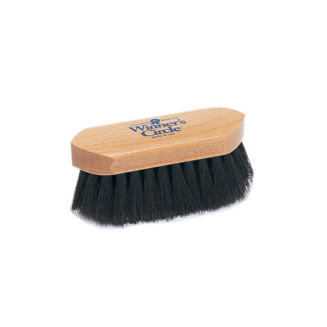 Champion 6-1/4" Dandy Brush with Horsehair Blend image number null