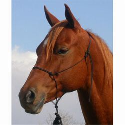 Double Diamond 4mm (#110 Series) Nylon Rope Halter