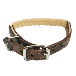Tory Leather Braided Waxed Canvas Dog Collar - Brown