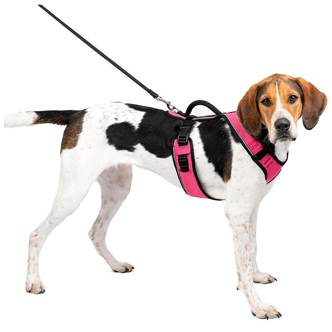 PetSafe EasySport Harness - Pink image number null