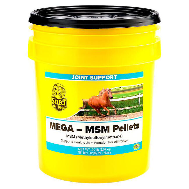 Select the Best Mega-MSM Pellets image number null