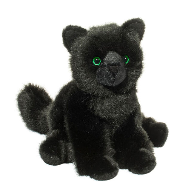 Douglas Salem Black Cat image number null