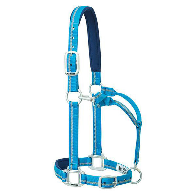 Blue Weaver Nylon Padded Reflective Adjustable Horse Halter image number null